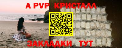 спиды Будённовск