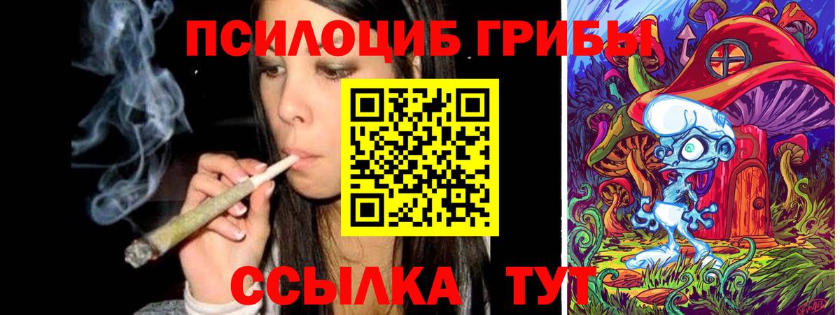 Смоленск  Галлюциногенные грибы GOLDEN TEACHER  закладка  Вход с VPN 
